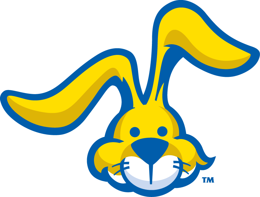 South Dakota State Jackrabbits 2008-Pres Misc Logo diy DTF decal sticker